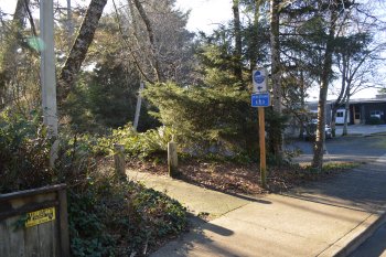 Cannon Beach - Gower Street