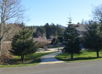 Cannon Beach Nature Trail