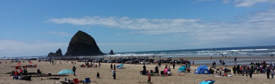 cars on the beach